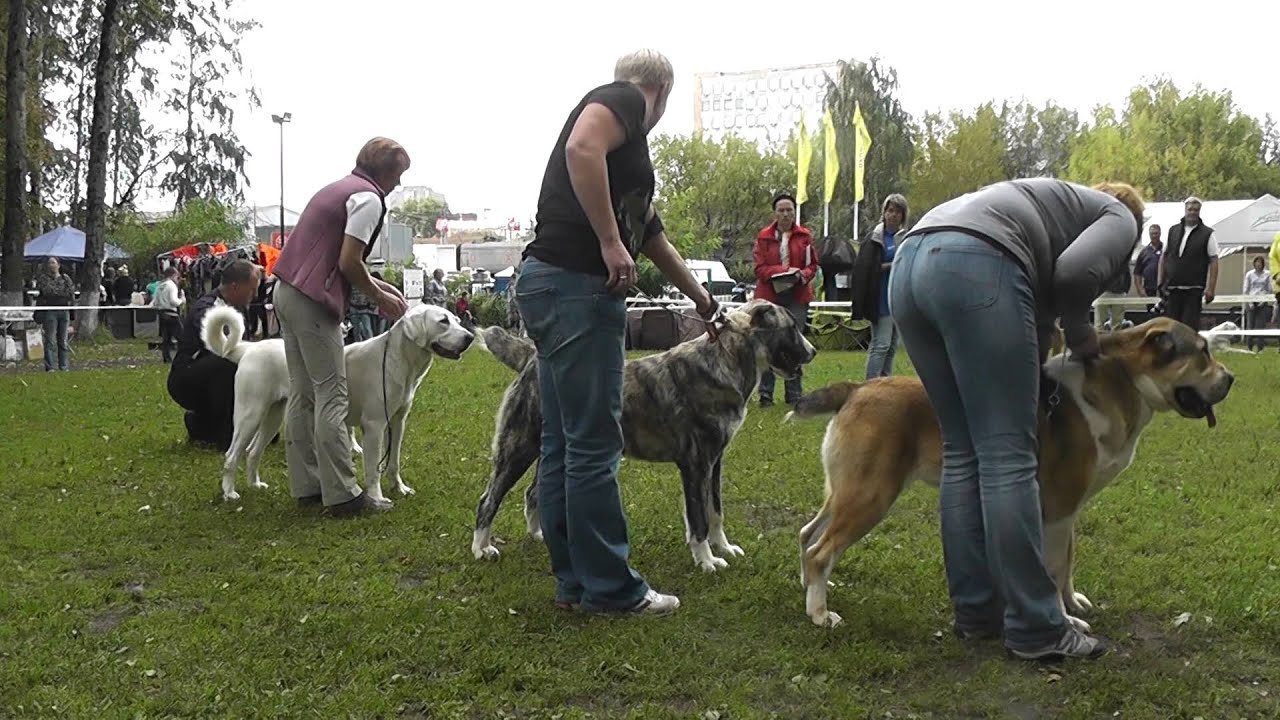 Моно САО "Московия-2014"