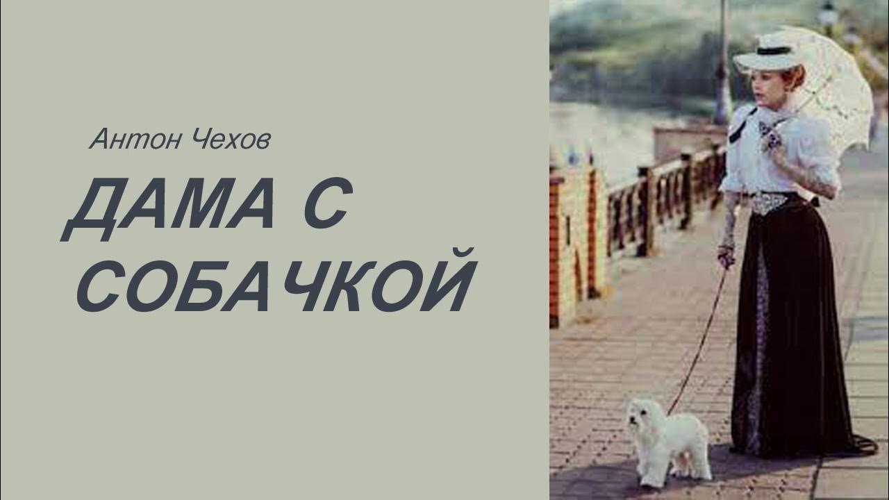 Дама с собачкой премьера. Дама с собачкой премьера