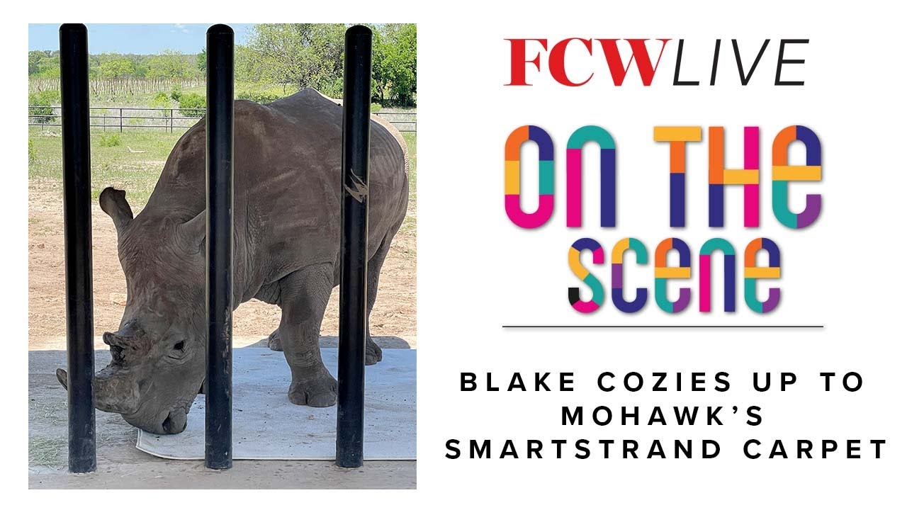 Blake cozies up to Mohawk’s SmartStrand carpet - YouTube