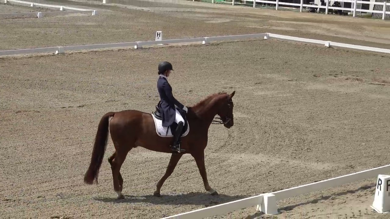 114學年度全國中等學校馬術錦標賽(馬場馬術) 高中組 Senior II 涂語安