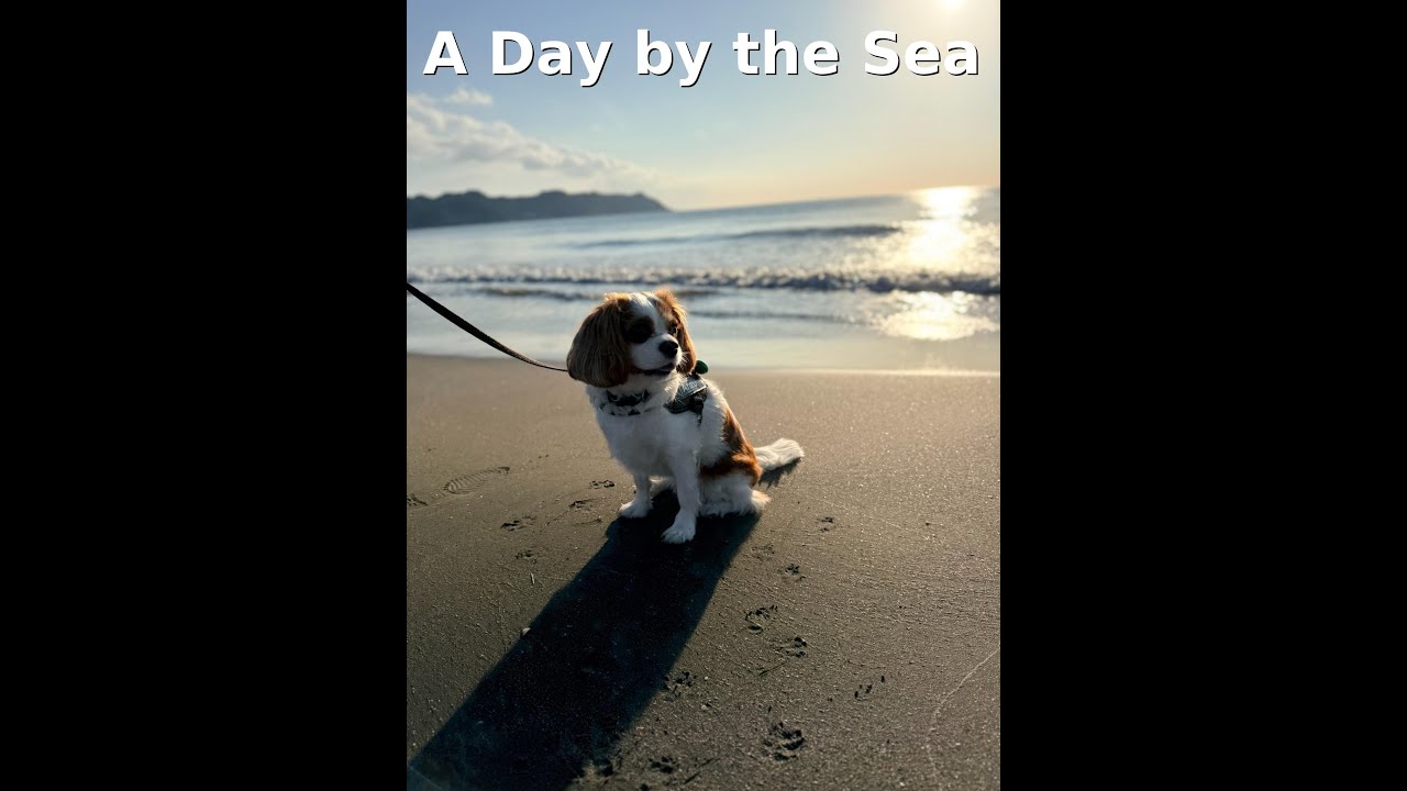 【キャバリア】2025年11月_DANQOO宿泊