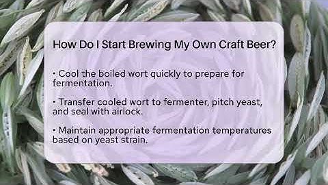 How Do I Start Brewing My Own Craft Beer? | The Pint Guy