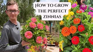 The Secret To Growing Zinnias In Your Flower Garden