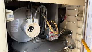 Famous Pentair MasterTemp 400 IGN ERR - heater won't start Profile