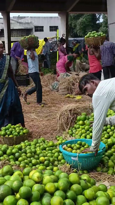 aam Lelo aam Lelo song #subscribe #viral #trending