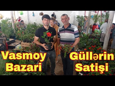 Vasmoy Bazari Güllerin Satişi 05 06 2022