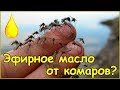 Эфирное масло гвоздика как средство от комаров