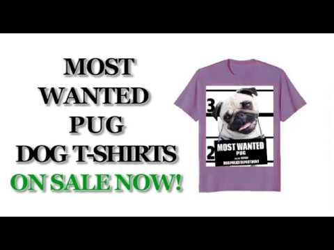 most-wanted-pug-cute-funny-t-shirt---men's,-women's,-kid's---royal-blue,-white,-pink