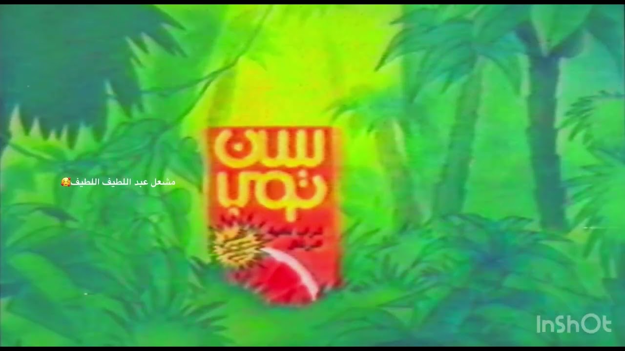 إعلانات تجارية من القناة الثانية تقريبا ١٤١٠ هجري 🌹