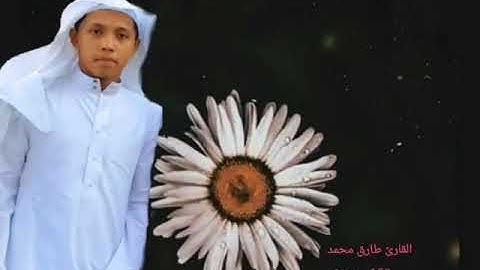 #عشائية سورة طه للقارئ طارق محمد