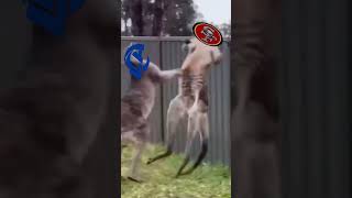 “NFC West State of Mind: sf vs