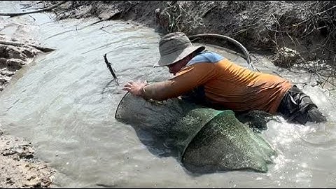 Trúng Đậm Ổ Cá Nằm Trong Hang - Cách Bắt Cá Hiệu Quả Khi Gặp Trường Họp Này - TT2301