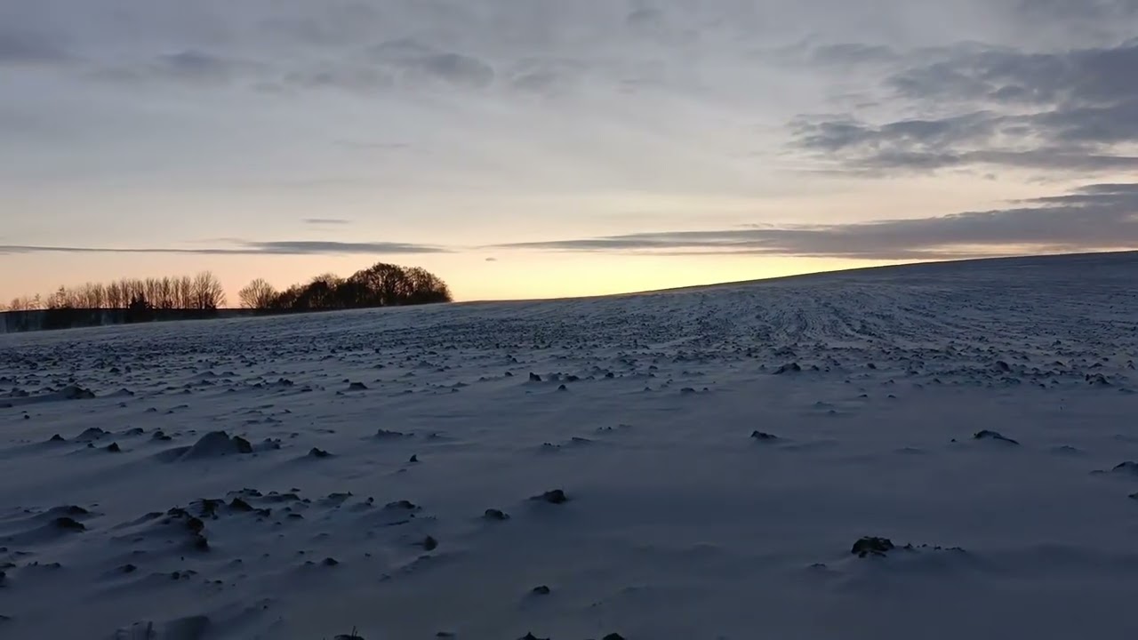 Zimowe wyjście w teren i dwa nowe gołębie