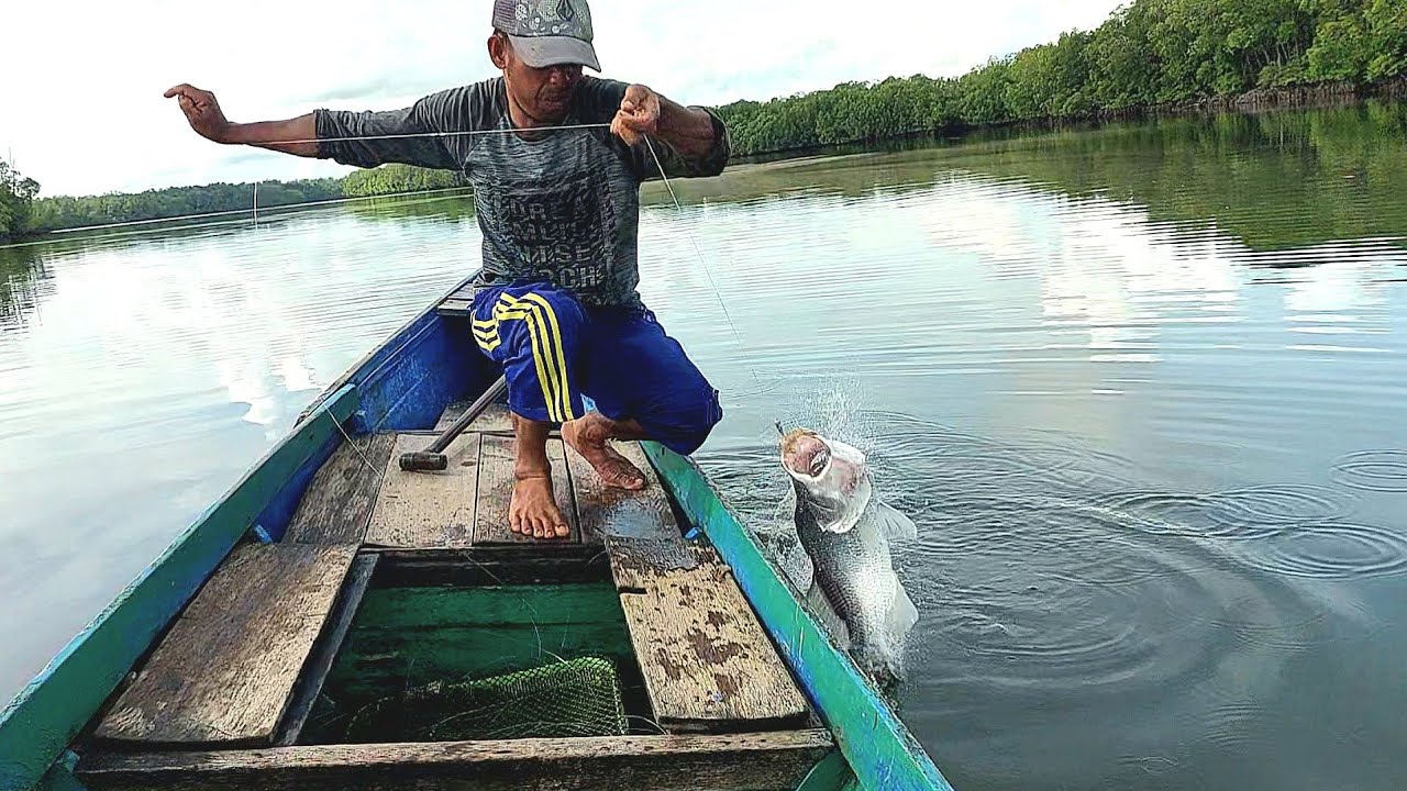 SAMBARANNYA SEPERTI IKAN KECIL PAS NAIK TERNYATA BARRAMUNDI