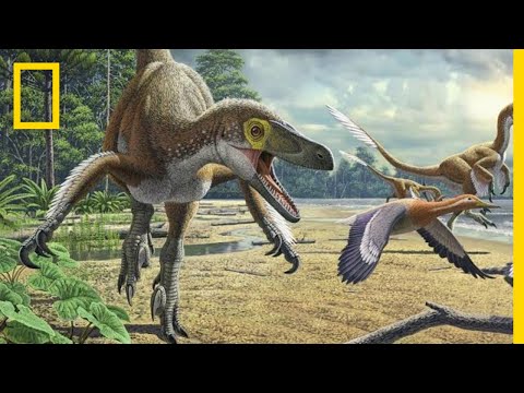 Video: Name of dinosaurs. Photo with titles