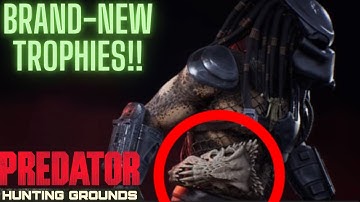 BRAND-NEW TROPHIES | PREDATOR: HUNTING GROUNDS