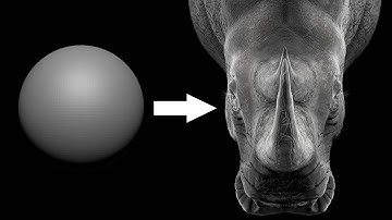Sculpting a 3D rhinoceros
