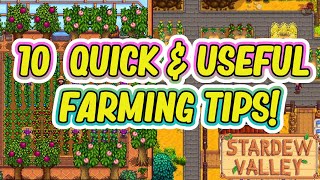 Improve Your Farm With These 10 Farming Tips! | Stardew Valley