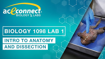 Biology 1098 Lab 1 || Intro to Anatomy and Dissection