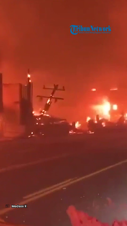 Kebakaran Los Angeles❗ 