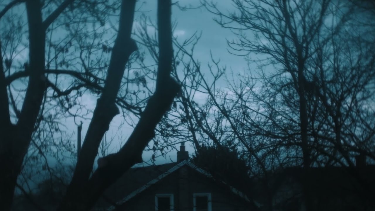 Nothing, just Christmas | AM