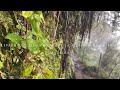 MADEIRA | Best Hiking Trails | Levada do Caldeirão Verde e Caldeirão do Inferno | PR9 | 4K