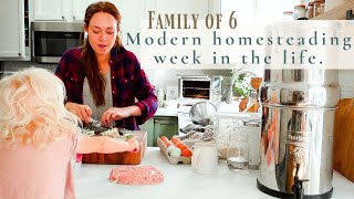 Modern Homesteading WEEK IN THE LIFE | family of 6