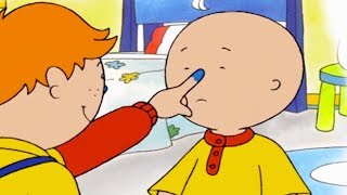 Caillou Gets Bullied by Leo | Caillou Cartoon