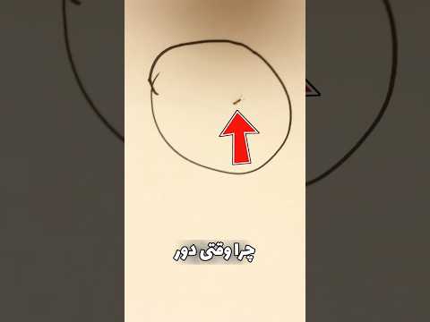 مورچه بیچاره چه کاریه میکنید آخه دانستنی سرگرمی