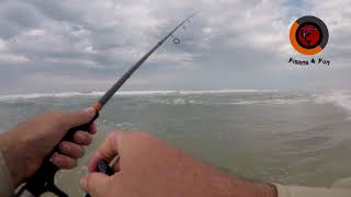 Fishing the beach at Sundays river mouth