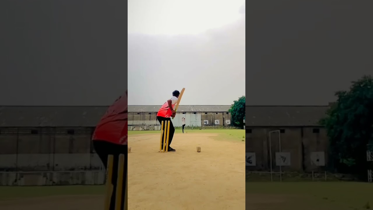 new cricket status video