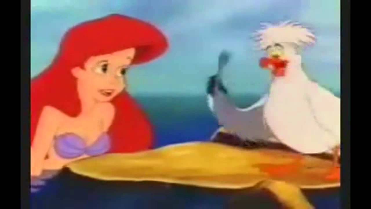 The Little Mermaid Scuttle scene (fandub) YouTube