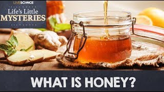 What is Honey?