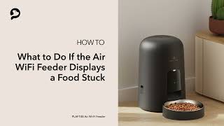 What to Do for Food Stuck | PETLIBRO Air Wi-Fi Feeder by PETLIBRO 529 views 5 months ago 59 seconds