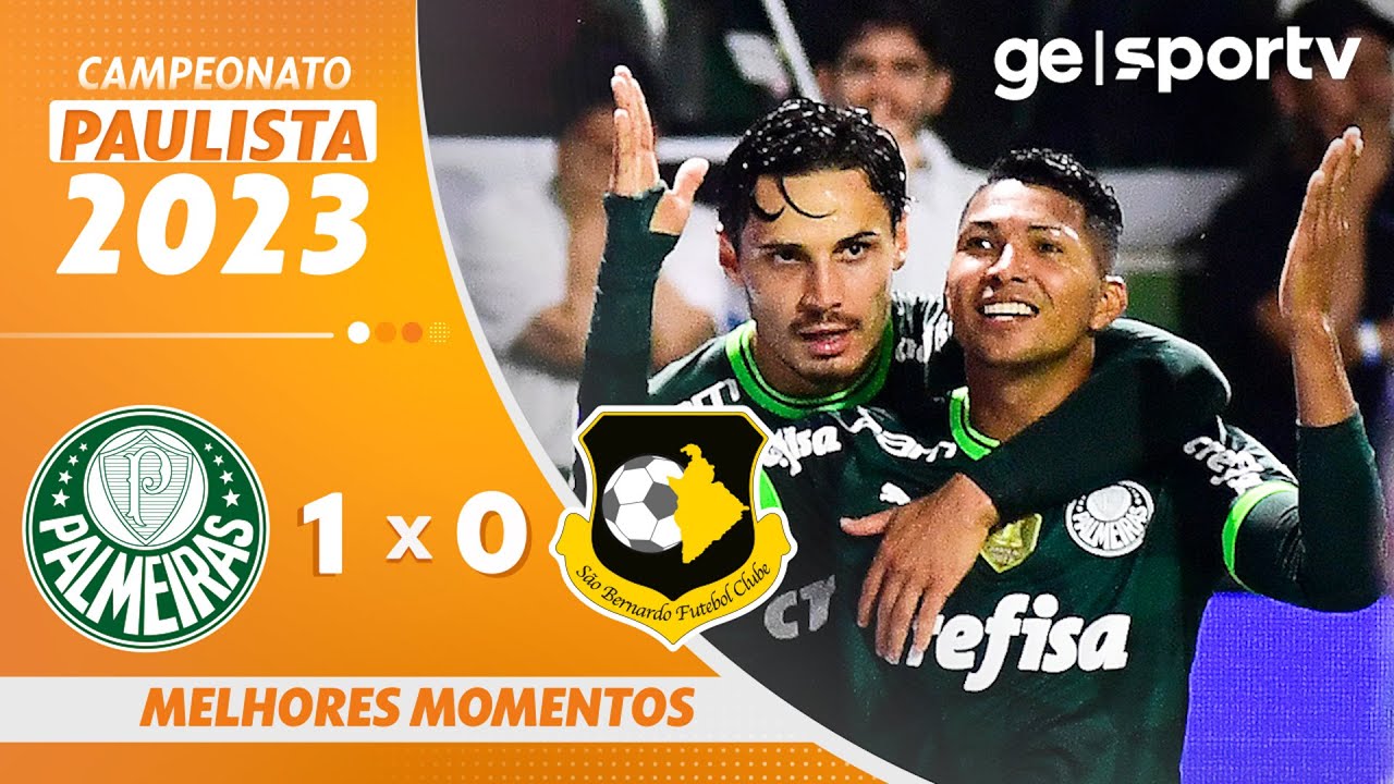 Gols e Melhores momentos de Novorizontino x Palmeiras (0-2)