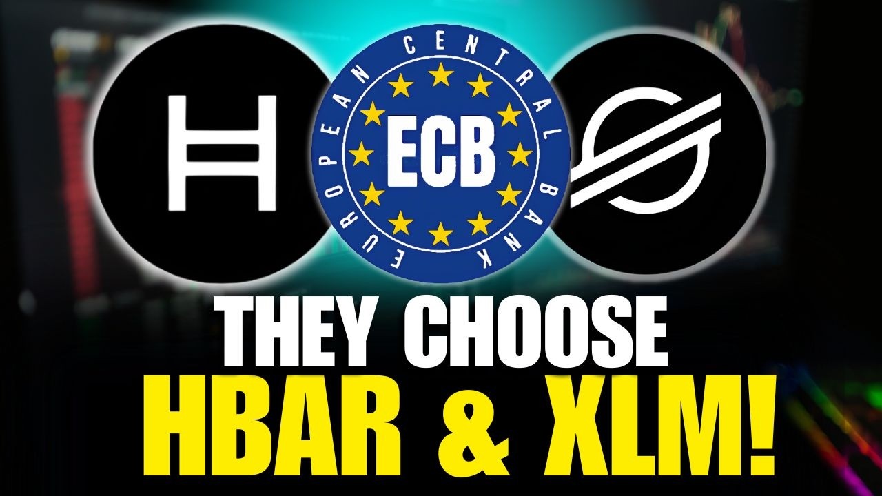I TOLD YOU HBAR & XLM ARMY!!! I TOLD YOU! WE WILL BE ELITES!