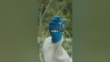 polycyclic aromatic hydrocarbons and benzofuran derivatives in soil  #sciencefather#researcher#soil