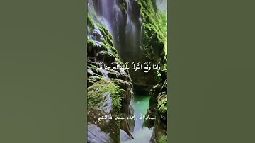 الشيخ حمدي الزامل--نوادر روعه. رحمه الله #تلاوات
