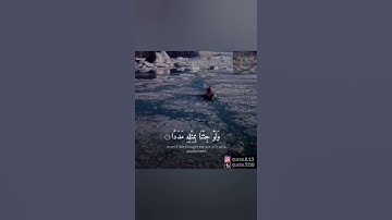 قل لو كان البحر مداداً لكلمات ربي لنفد البحر قبل ان تنفد كلمات ربي_سورة الكهف_ القارئ احمد العجمي 🌿💜