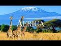 Africa 4k scenic wildlife film  beautiful piano music  travel nature