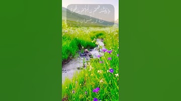 تلاوة خاشعة من سورة التوبة🎧الآية٢٠بصوت #عبدالله_الخلف#حالات_واتس #آمنوا#هاجروا#سبيل#أنفسهم #الفائزون