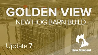 The Golden View Hog Barn - Farrowing Room Tour - Update 7
