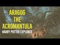 Aragog the Acromantula (Harry Potter Explored)