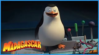 DreamWorks Madagascar | Never Leave a Man Behind | Penguins of Madagascar Clip | Kids Movies