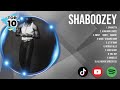 Shaboozey - Top English Songs Playlist 2024 -Top Trend 2024
