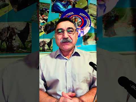 برا کوردەکەم ڕووح و گیانەگەم