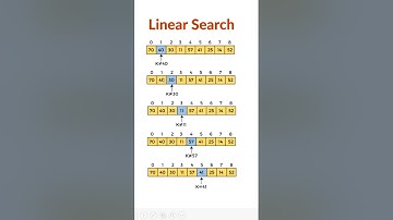 Linear Search Algorithm