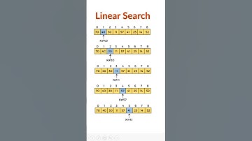 Linear Search Algorithm