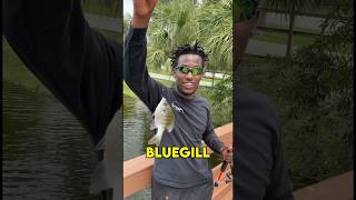 How To Catch A Bluegill (in under 30 seconds)