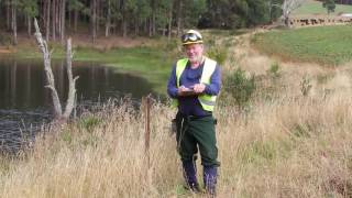 Meet Dan Neary, Research Soil Scientist